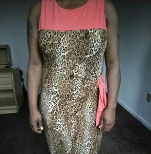 New York & Company animal Print